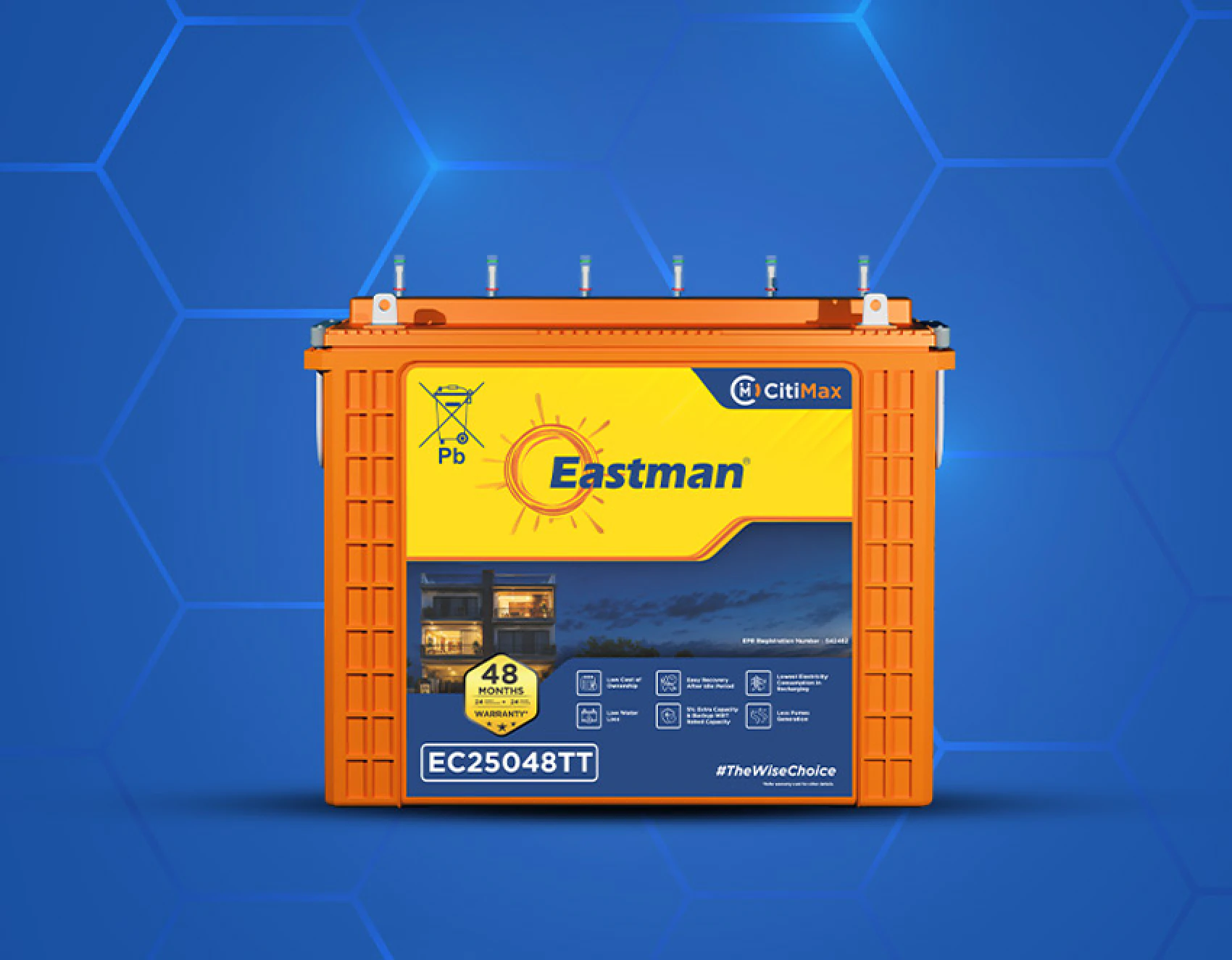 Eastman CitiMax tubular battery